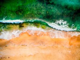 Лодка для очистки водорослей